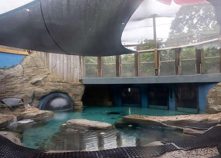 Puffin Enclosure