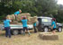 Staff helping to get the hay in from the field