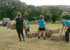 Staff helping to get the hay in from the field