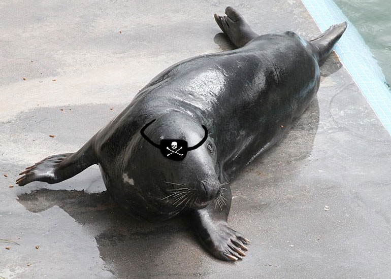 Ray
