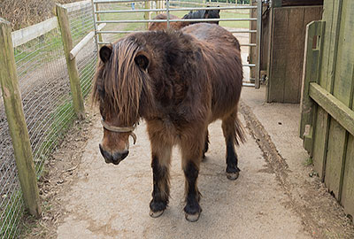 Tuppence just had his coat taken off to be cleaned