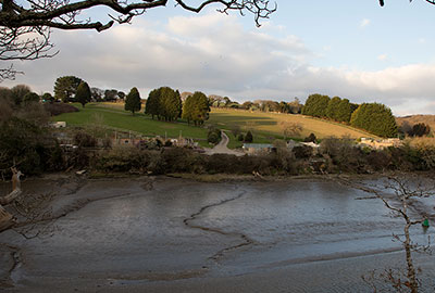 Cornish Seal Sanctuary