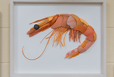 Plastic Pollution by Rob Arnold