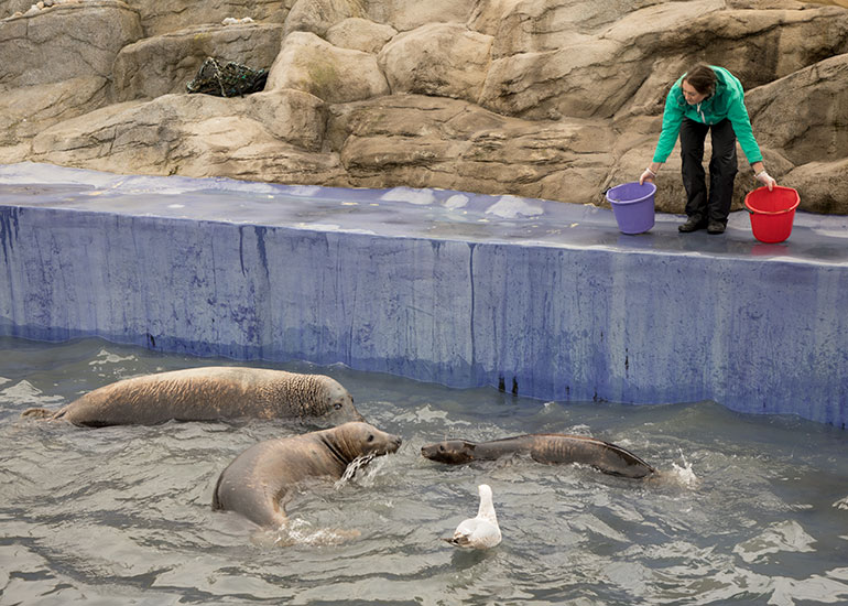 They are wondering who had the last fish