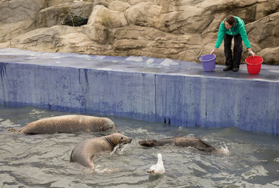They are wondering who had the last fish