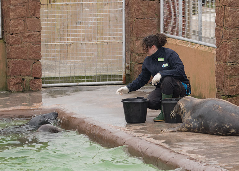 Claire is making sure Ray, Atlanta and Snoopy gets their fish during feeding time
