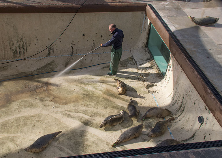 Alex cleaning the convalescent pool