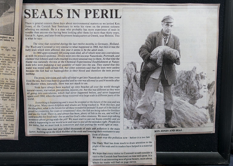 Newspaper - 1988