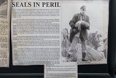 The Cornish Seal Sanctuary celebrates 60 years of rescues