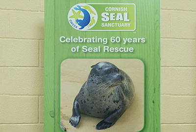 Celebrating 60 years of Seal Rescue