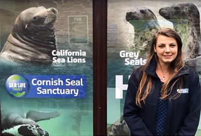 Cornish Seal Sanctuary