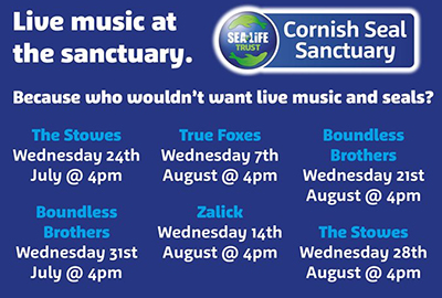 live music nights