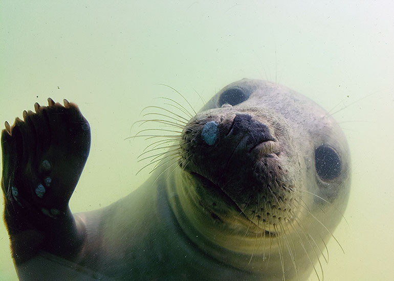 Photo by Hannah Butler was taken in 25th April 2018