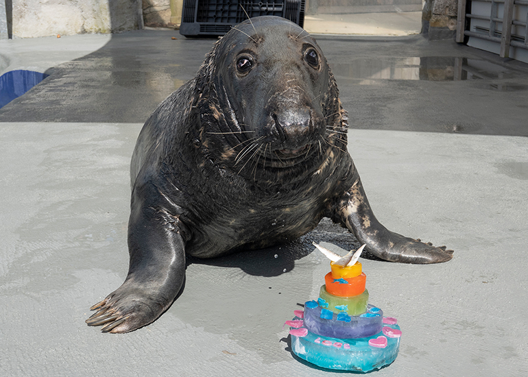 Happy 34th Birthday Logs