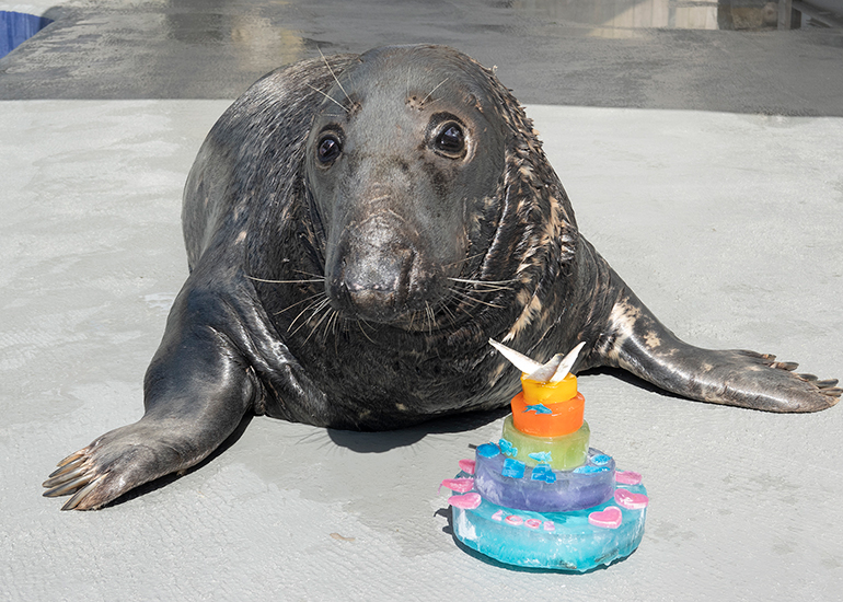 Happy 34th Birthday Logs