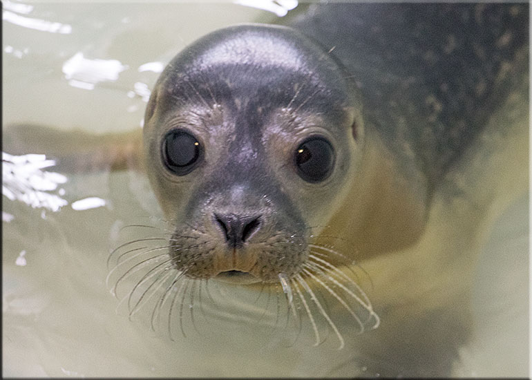 Haribo - photo taken on 12th July 2015