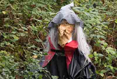 Haunted Hallows