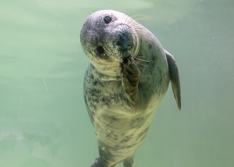 Hetty - Photo taken on 30th October 2020