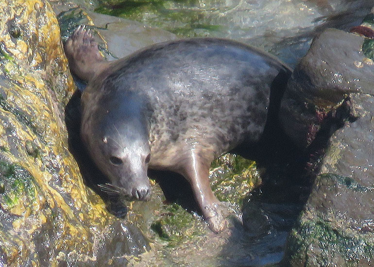 Hex photo taken by Sue Sayer in 5th May 2016