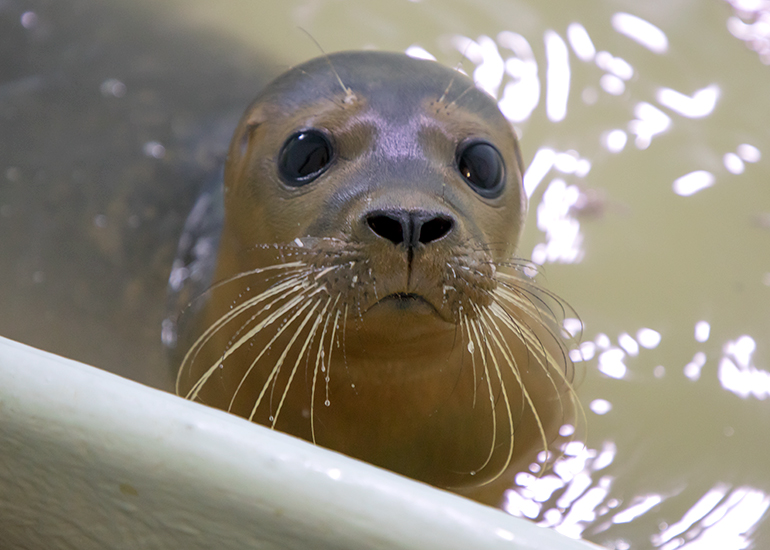 Hula - photo taken on 23rd September 2018