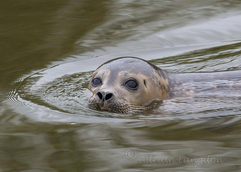 Icy - photo taken on 21st January 2017