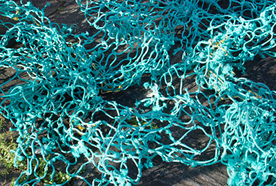 Impacts on Marine Debris