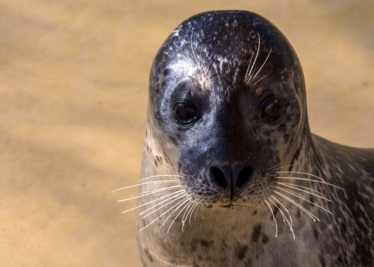 Photo taken by Izzy Brett - 7th March 2018