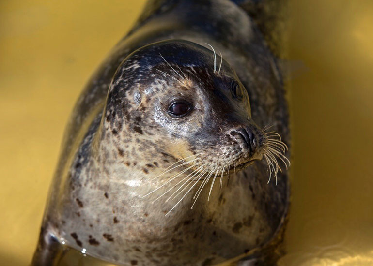 Photo taken by Izzy Brett - 7th March 2018