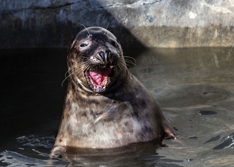 Photo taken by Izzy Brett - 7th March 2018