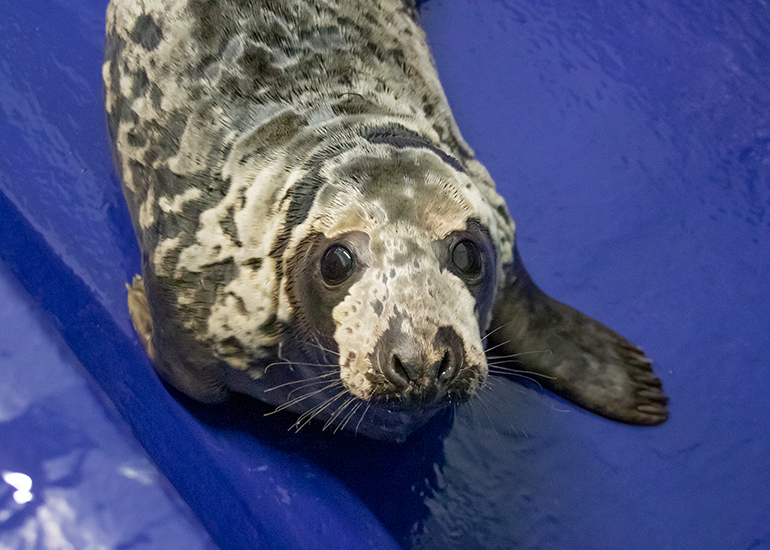 Jammie Dodgers - Photo taken on 17th April 2021