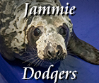 Jammie Dodgers