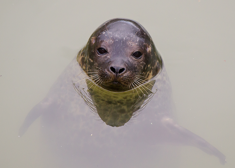 Jarvis - photo taken on 19th November 2016