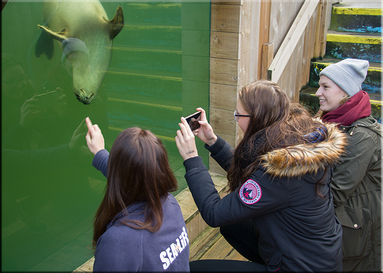 Jessica-Jane Applegate MBE visits the Hunstanton SEA LIFE Sanctuary on 26th November 2016