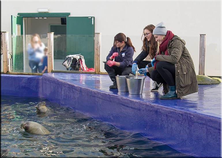 Jessica-Jane Applegate MBE visits the Hunstanton SEA LIFE Sanctuary on 26th November 2016