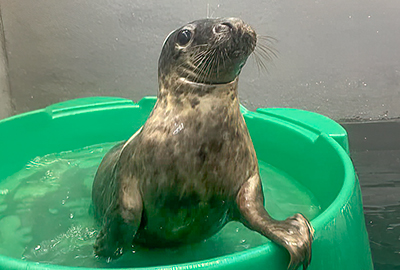 Photo credit - Lizzi Larbalestier - BDMLR - 14th January 2024
