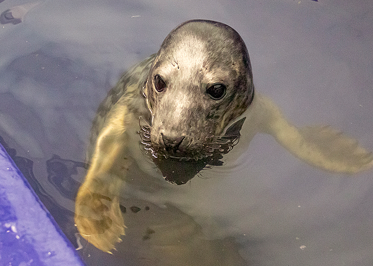 Jurgen - Photo taken on 17th June 2021