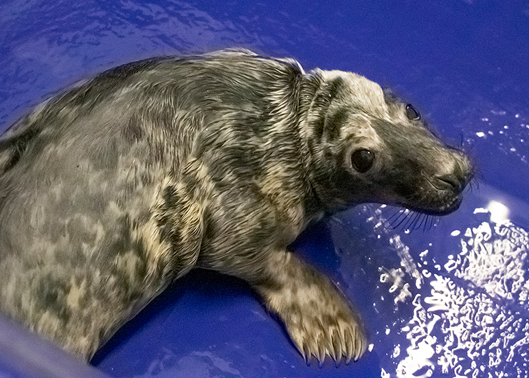 Jurgen - Photo taken on 17th June 2021