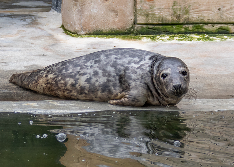 Jurgen - Photo taken on 31st July 2021