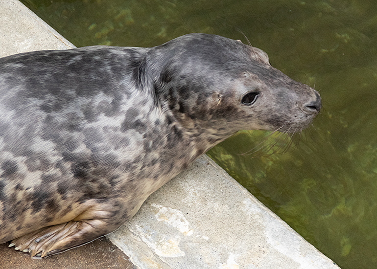 Jurgen - Photo taken on 31st July 2021