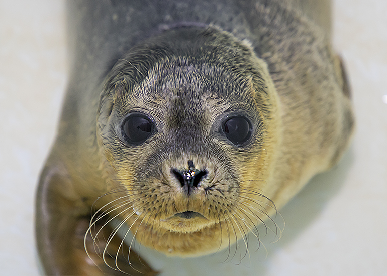 Kylie - photo taken on 14th July 2019