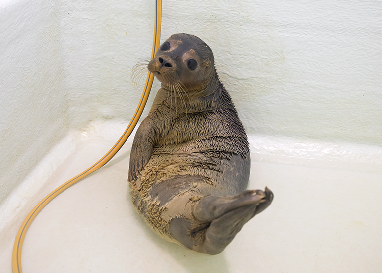 Kylie - photo taken on 24th August 2019