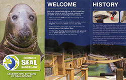 Latest leaflet