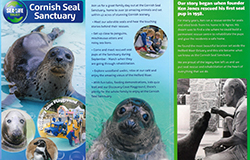 Latest leaflet