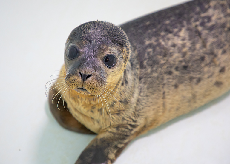 Madonna - photo taken on 14th July 2019