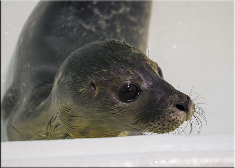 Mario - photo taken on 4th June 2016