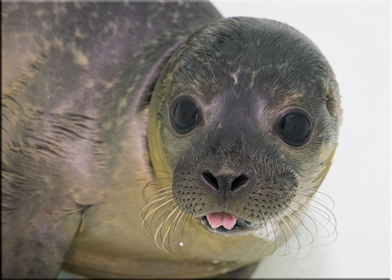 Maxibon - photo taken on 12th July 2015