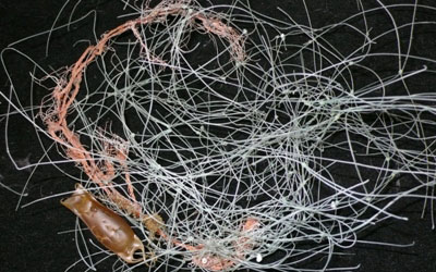Net entanglement photo by Sue Sayer