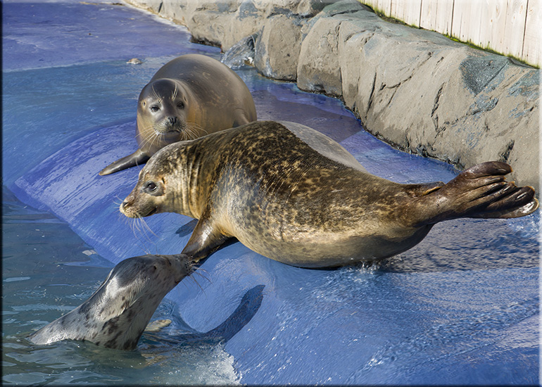 Aquarium photos
