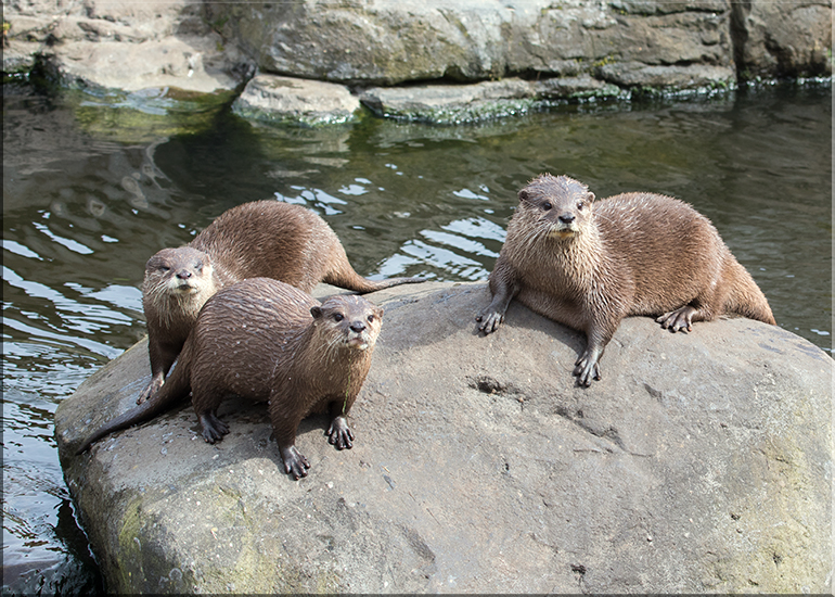 Aquarium photos