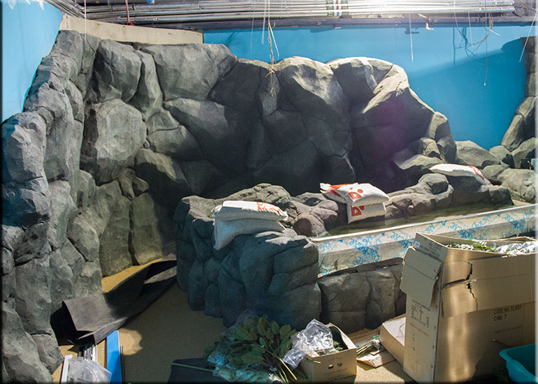 Hunstanton SEA LIFE Sanctuary
